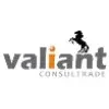 Valiant Consultrade Private Limited Logo