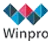 Winpro Tours And Travels Private Limited Logo