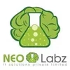 Neolabz It Solutions Private Limited Logo
