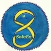 Solvex Systems Private Limited Logo