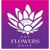 Getflowersdaily Llp Company Logo