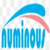 Numinous Technology Private Limited Logo