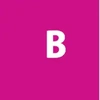 Brushcolorwater Web Solutions Private Limited Logo