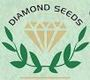 Diamond Seeds Private Limited Logo