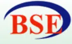 B.S.Electronics Private Limited Logo