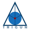 Trigun Advisory Services Llp Logo