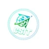 Cavilsoft It Technologies Private Limited Company Logo