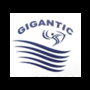 Gigantic Control Systems Private Limited Logo