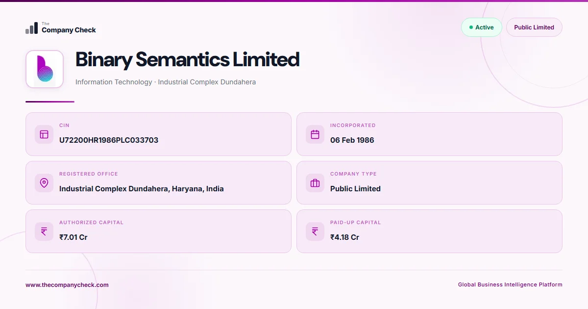 Binary Semantics Limited - 2026 Insights