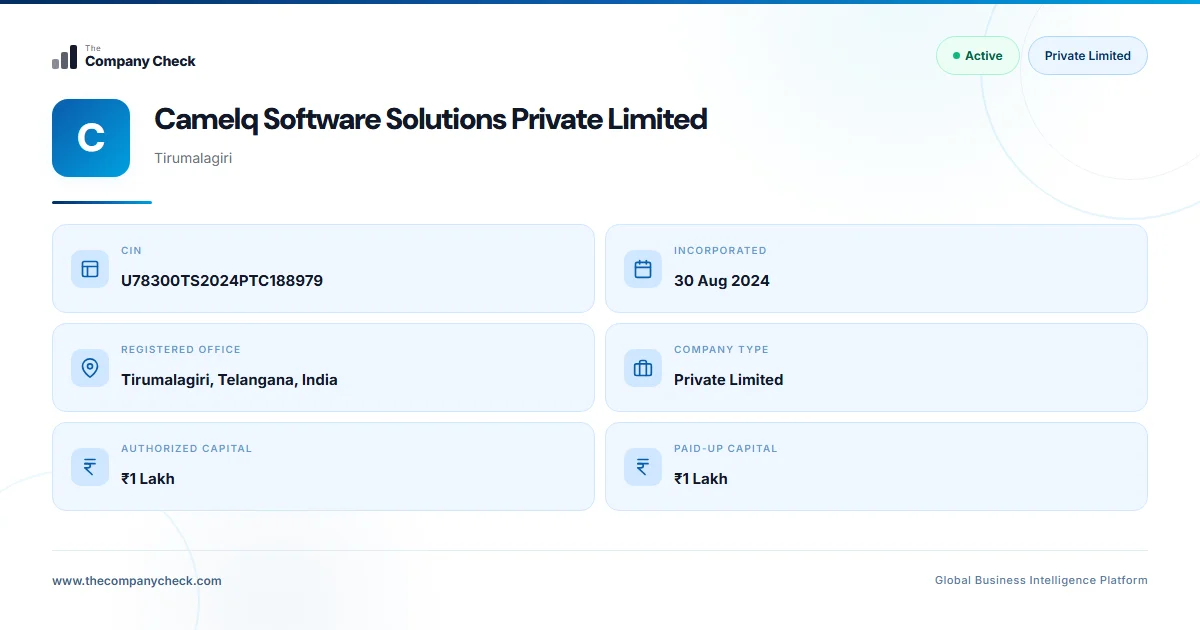 Camelq Software Solutions Private Limited - 2026 Insights