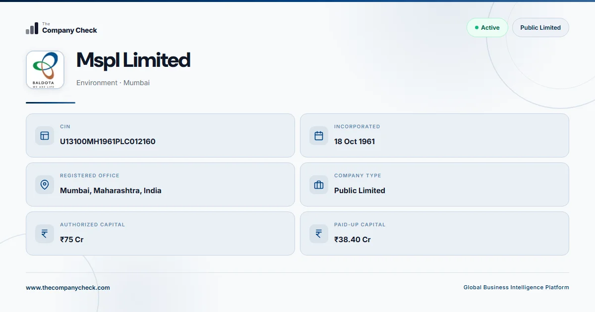 Mspl Insurance Mspl Limited - 2026 Insights | The Company Check