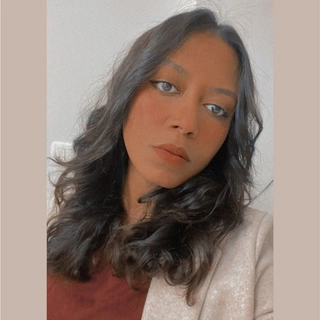 Alaa Sharfeldean Ahmed