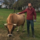 🐮 Alberto Calderón Queimadelos