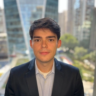 Alberto Vicente Affonso Ferreira