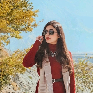 Amna Saeed