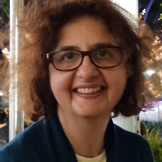 Amra Alibegovic-Memisevic