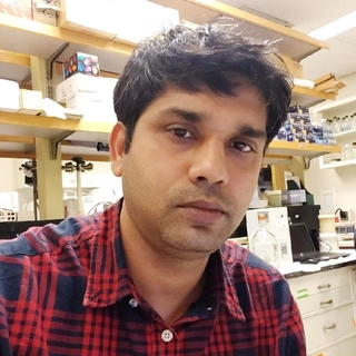 Anindya Roy Chowdhury