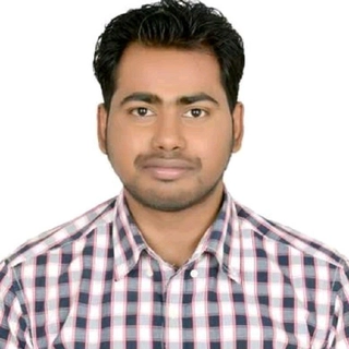 Ankit P.