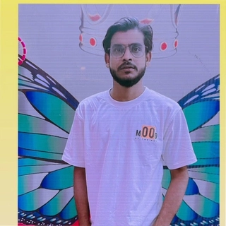 Ankit Pal
