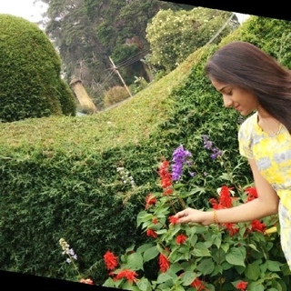 Anusha Doppalapudi