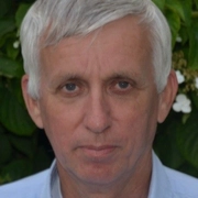 Arjan van der Velden