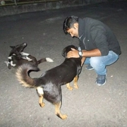 Arpan Kumar Bhattacharya