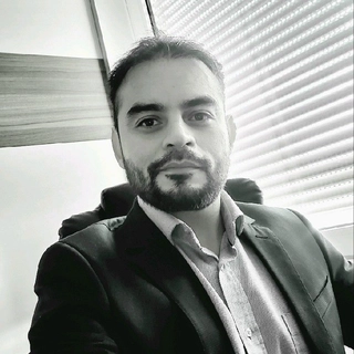 Arturo B. Meneses A.