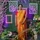 Arundhati Poshattiwar
