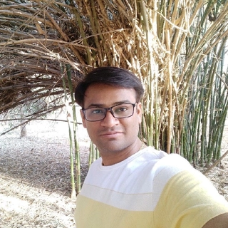 Bhavin Radadiya