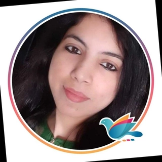 Bhumika Budhwani