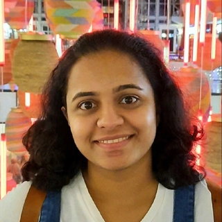 Chitra Mehendale