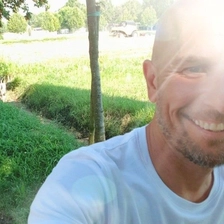 Daniele di Benedetto