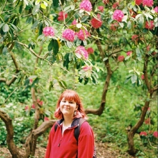 Daria Damian
