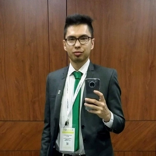 David Felipe Mojica Mojica