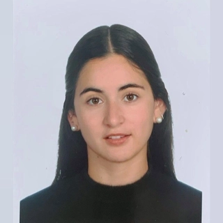 Diana Carrasco Saiz