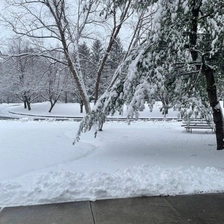 Diego Barreneche-Alzate