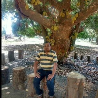 Dinesh Ghodekar