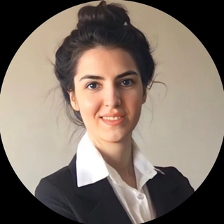 Elham Ghorbanzadeh
