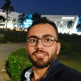 Elsayed Mohamed Mahmoud