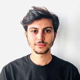 Federico Ronchini
