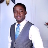 Fica Olufemi Oladipo Fca, Acti, Acmr, Dip.t, McIb