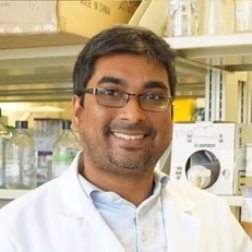 Ganeswara Rao Musada