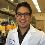Gavin Ogawa