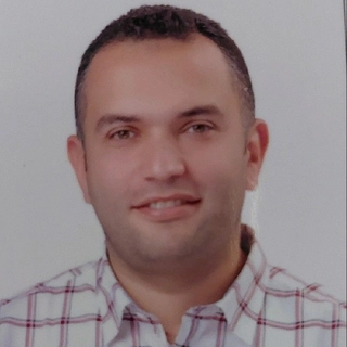 Hesham El-Daly