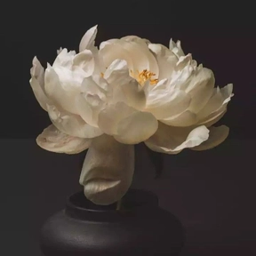 Hima Jyothi Rajamahendravarapu
