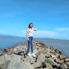 Hoang Anh Ho Thi