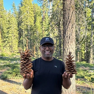 Jayasimha Ramachandra Rao