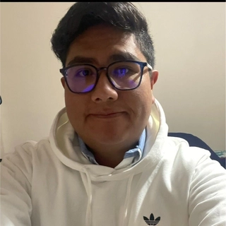 Julio cesar Armenta Armenta