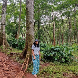 Keerthi Ponugoti