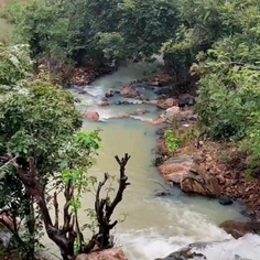 Kunwar Ashish Singhaniya